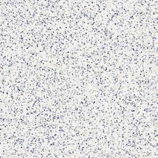 Marazzi Frammento Macro - venezianische Terrazzo Fliesen