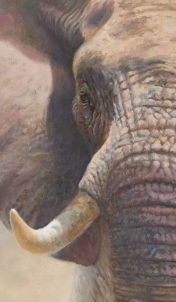 Hüppe Easystyle Wandverkleiderungen - Print on Demand Design