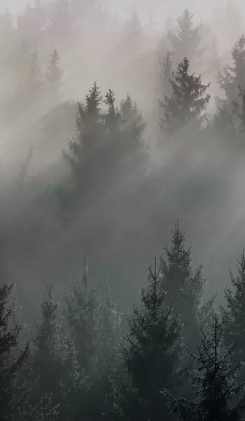 Hüppe Easystyle Wandverkleiderungen - Print on Demand Design