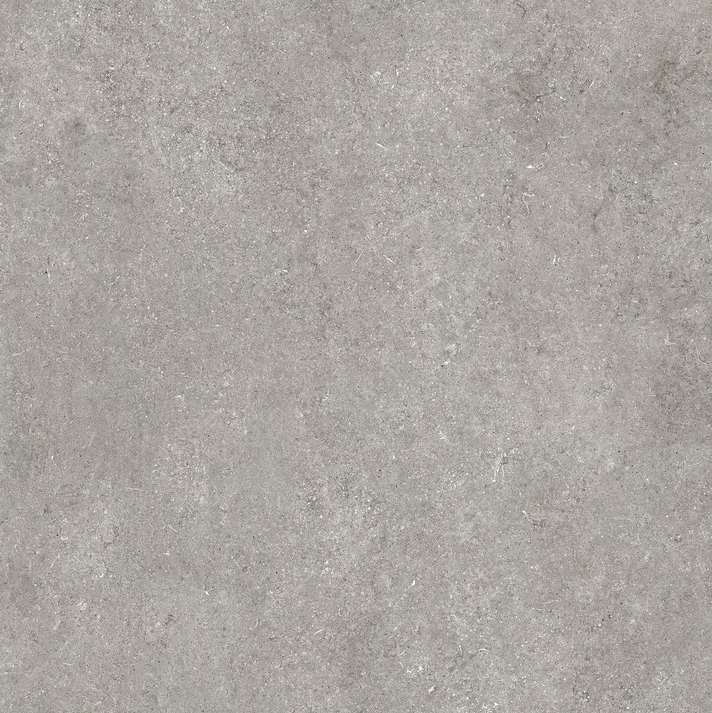 Florim Sensi Grey Fossil Dust - fein sandige Textur