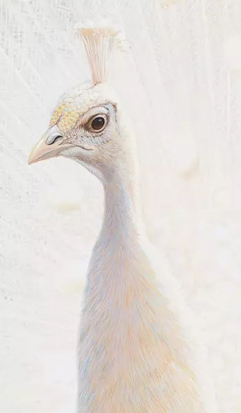 Hüppe Easystyle Wandverkleiderungen - Print on Demand Design