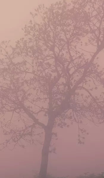 Hüppe Easystyle Wandverkleiderungen - Print on Demand Design